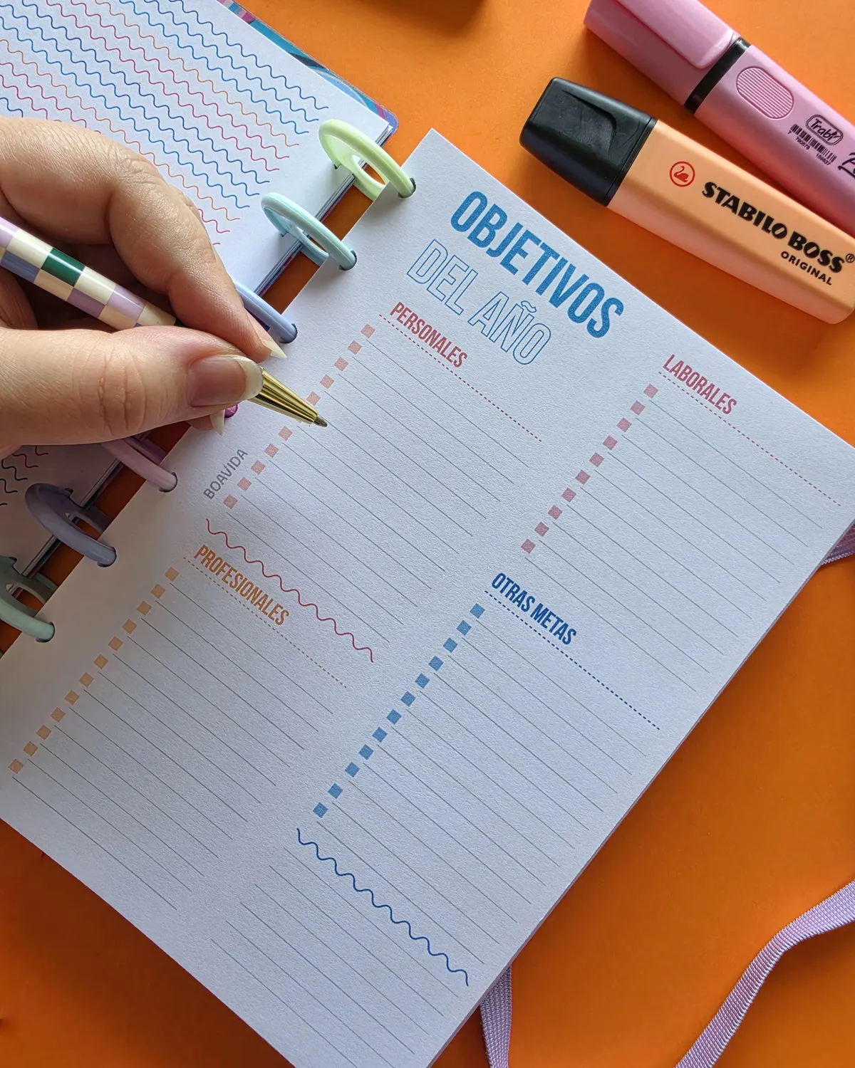 Agenda Con Discos Diaria A5 "Sinfonía de Color"