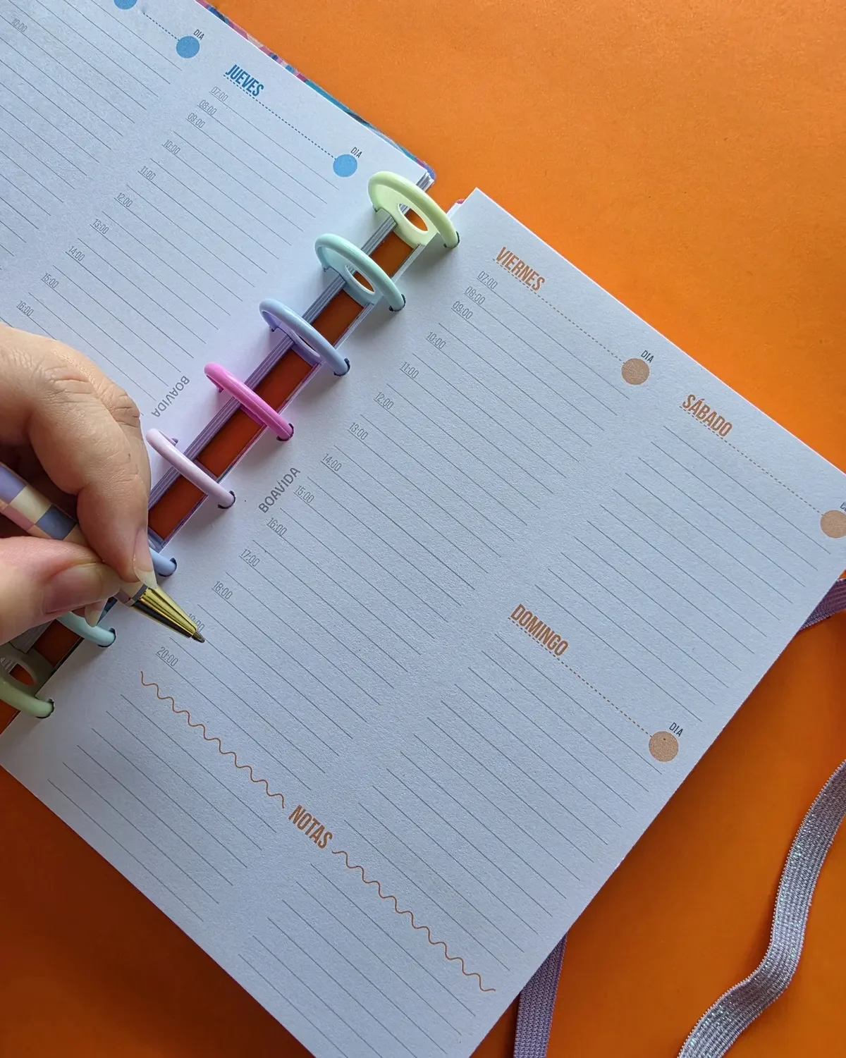 Agenda Con Discos Diaria A5 "Sinfonía de Color"