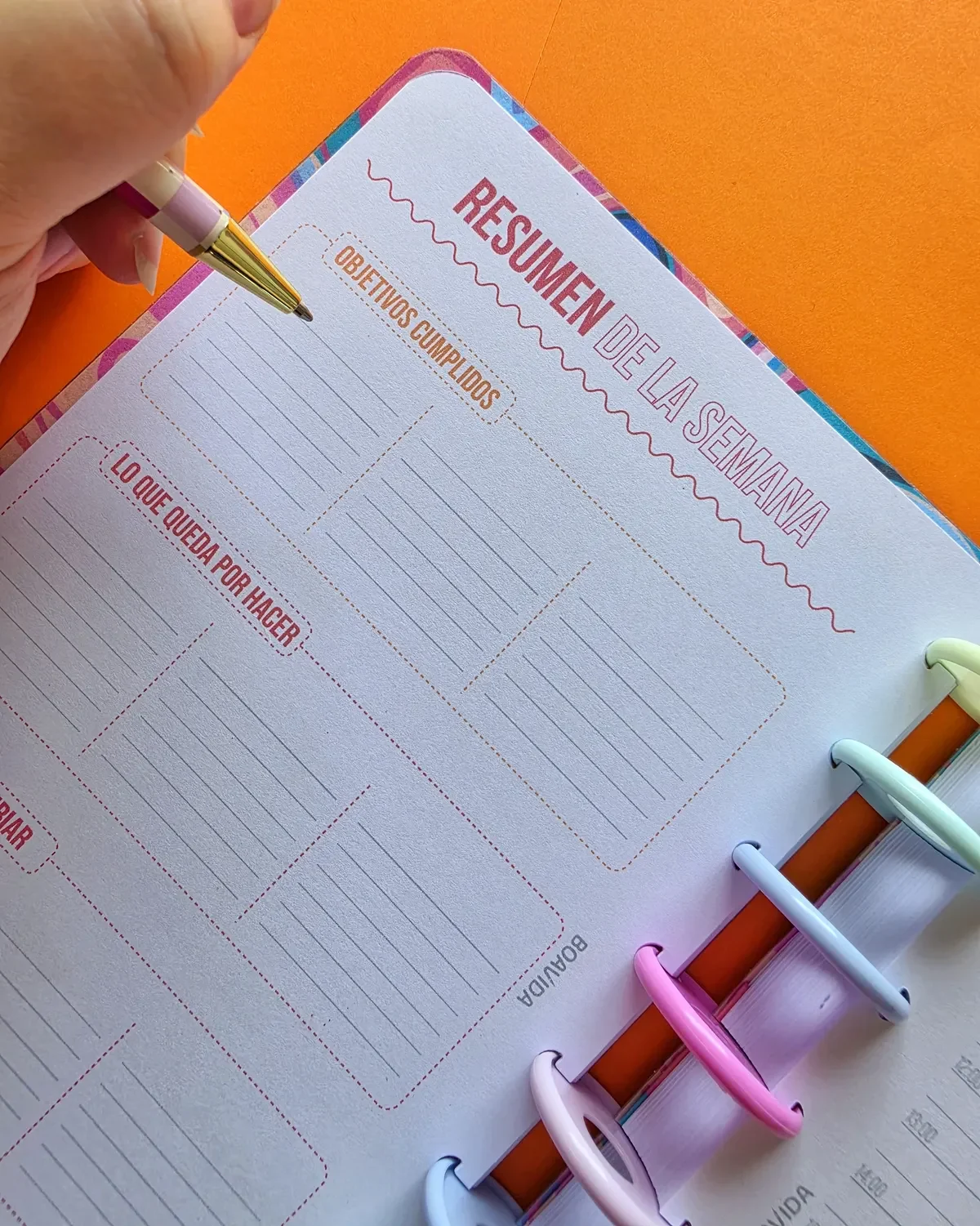 Agenda Con Discos Diaria A5 "Sinfonía de Color"