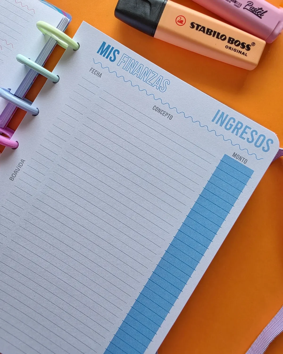 Agenda Con Discos Diaria A5 "Sinfonía de Color"